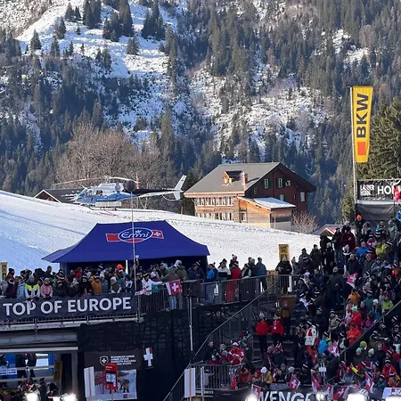 Staubbachbaenkli * וונגן