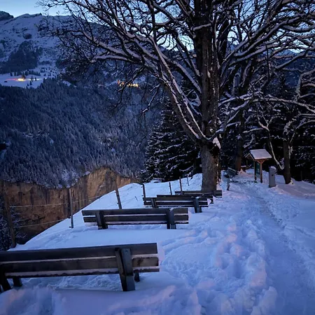 Staubbachbaenkli Wengen