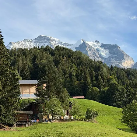 Staubbachbaenkli *