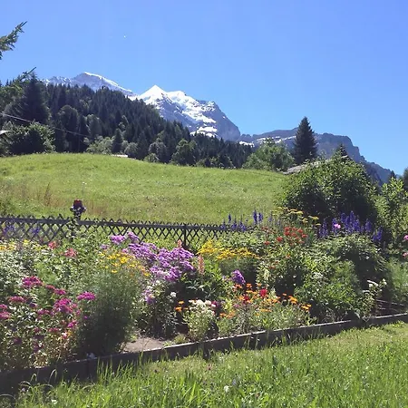Staubbachbaenkli * Wengen
