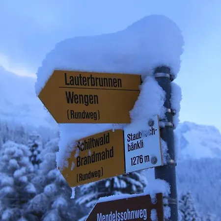 Apartamento Staubbachbaenkli *