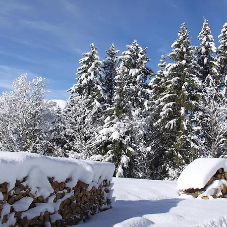 Staubbachbaenkli * Wengen