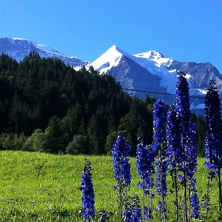 Apartamento Staubbachbaenkli *