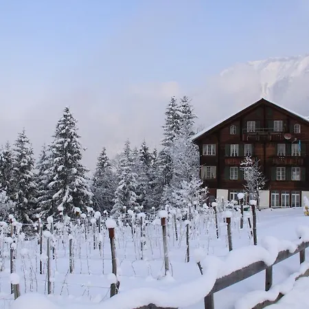 Apartamento Staubbachbaenkli *