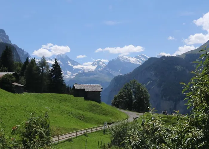 Staubbachbaenkli וונגן