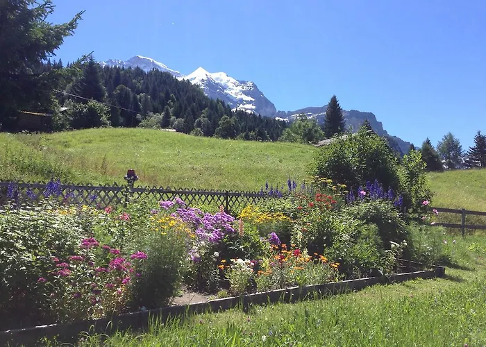 Staubbachbaenkli * וונגן