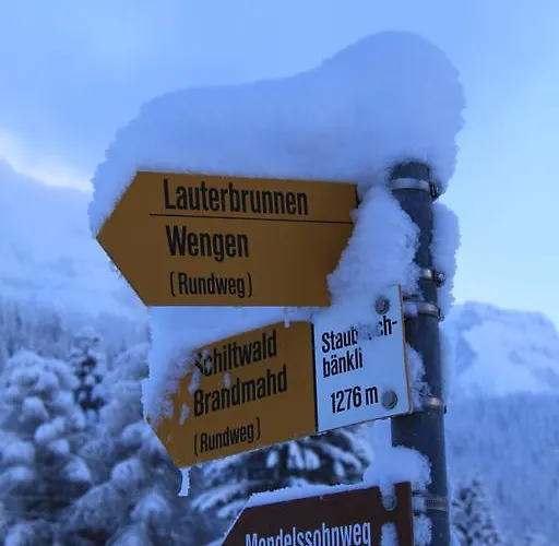 דירה Staubbachbaenkli *