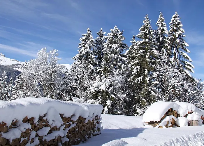 Staubbachbaenkli * וונגן