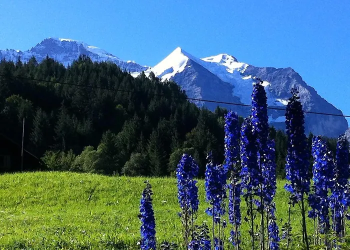 Appartement Staubbachbaenkli *
