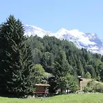 Staubbachbaenkli