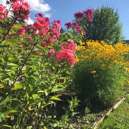 Appartement Staubbachbaenkli *